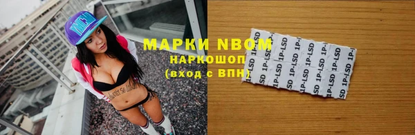 прущие грибы Корсаков