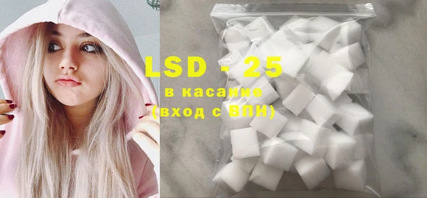 твердый Краснослободск