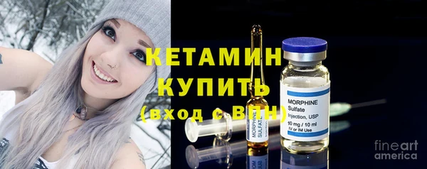 твердый Краснослободск
