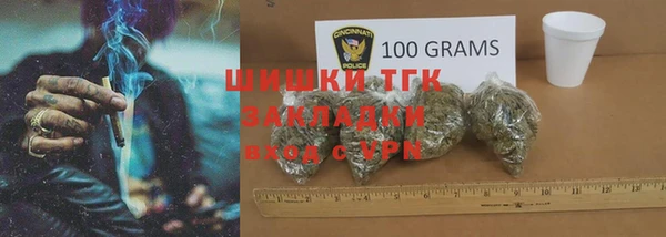 твердый Краснослободск