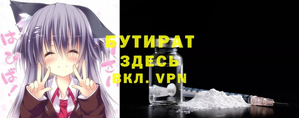твердый Краснослободск