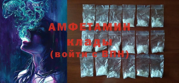 твердый Краснослободск