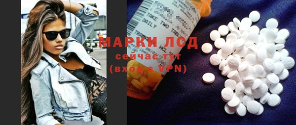 прущие грибы Корсаков