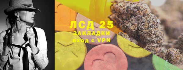 прущие грибы Корсаков